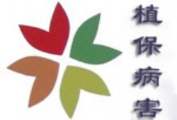 �߲˛_ʩ�ʌ��ң������S��˪ù���l(f��)��ԭ�򼰷��η���